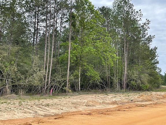 3rd image of 11631 Grand North Rd Lot 2