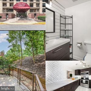 1040 Deer Ridge Dr UNIT 101, Baltimore, MD, 21210
