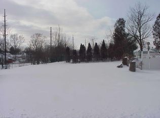 114-116 S Vine St, Medina, OH 44256