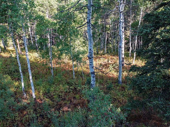 4th image of 11273 E Aspen Rd