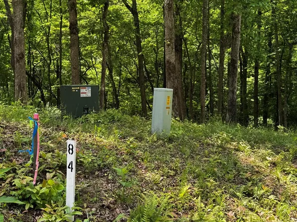 84 Cedar Ct, Ellijay, GA 30540