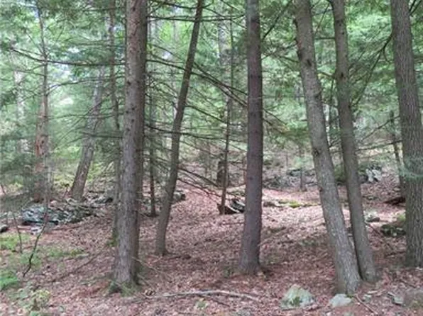 36 Upper Lumber Rd, Glen Spey, NY 12737