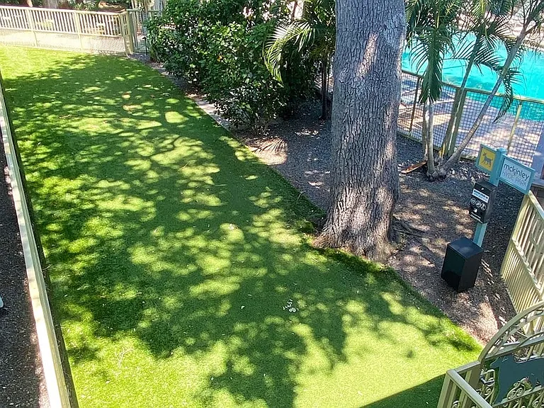 dog park