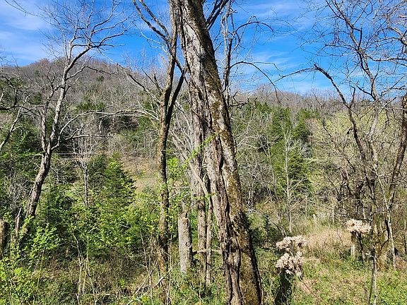 4th image of 0 Wilson Hollow Rd