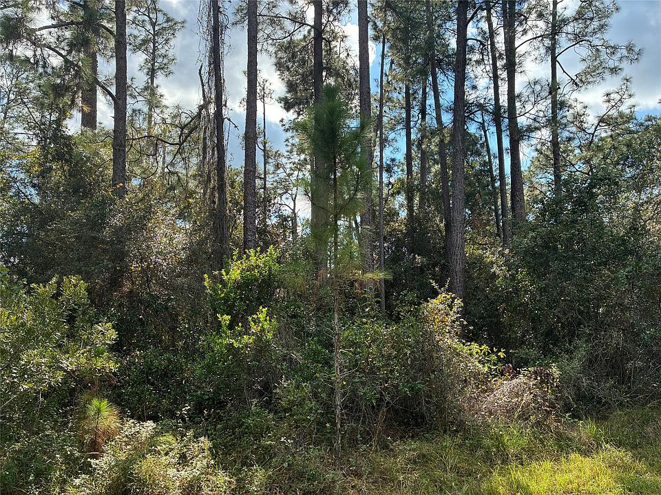 2nd image of Lot 15 Park Avenue