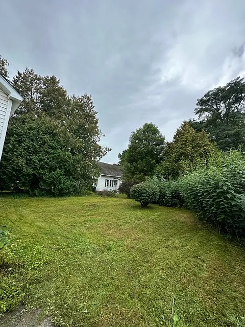 4 bed, 1814 sqft, $3,900 — Photo 4