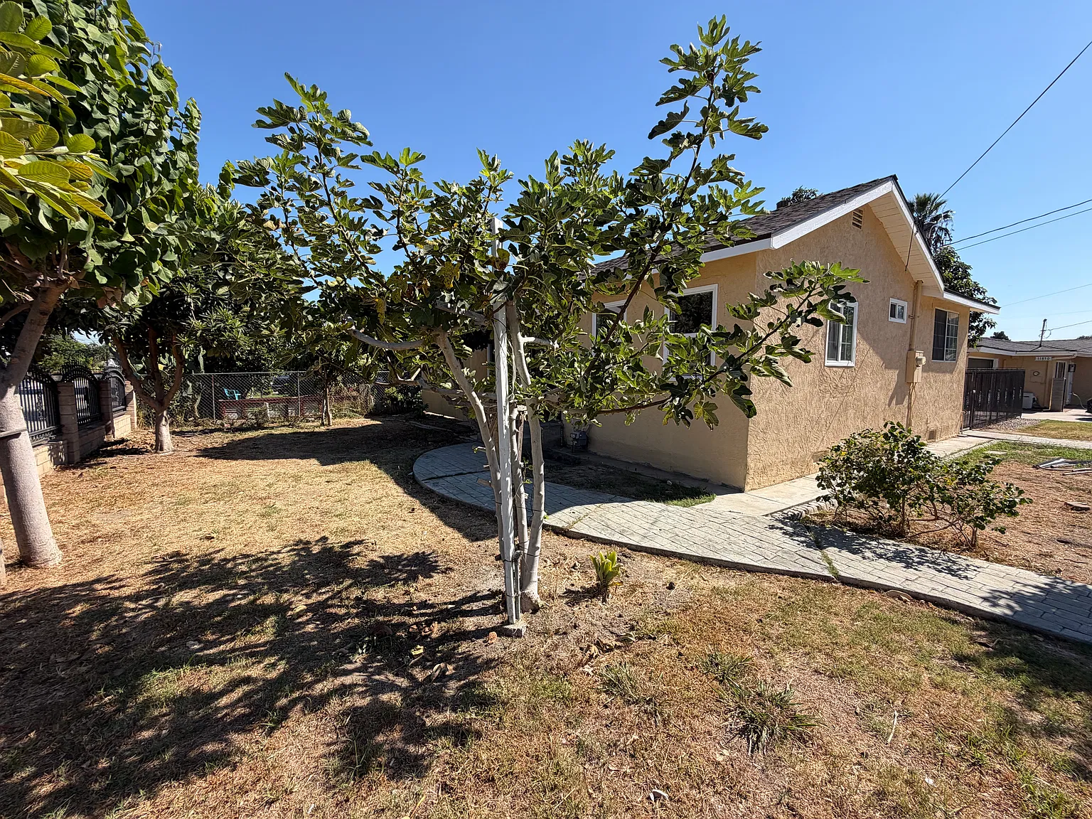 2 bed, 1000 sqft, $3,000 — Photo 3