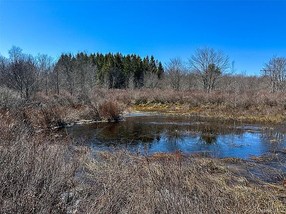 2nd image of 381 Dutch Hill Road