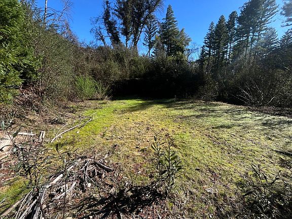 3rd image of 16470 Jamison Creek Rd