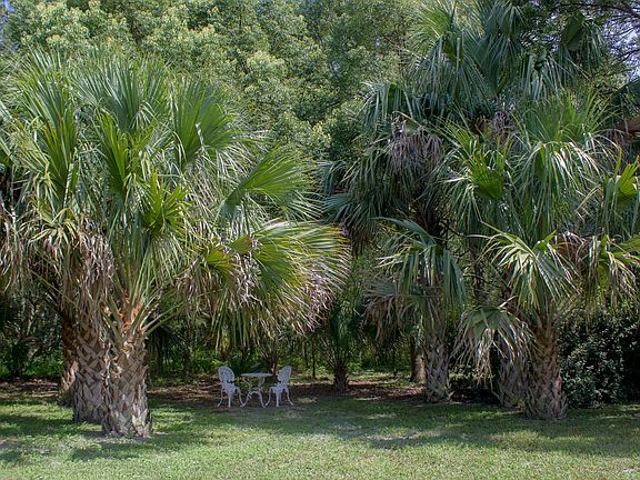 4th image of 311 Washington Oaks Dr