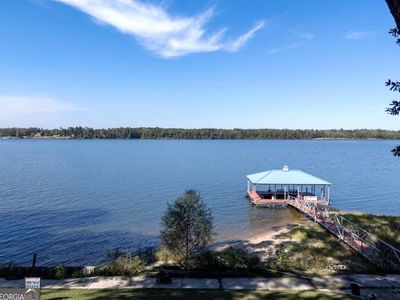 291 Pataula Heights Ln, Fort Gaines, GA, 39851