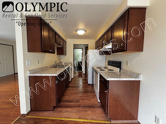 Watermarked19_11082024