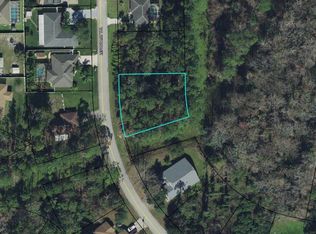 85 Zephyr Lily Trl, Palm Coast, FL 32164