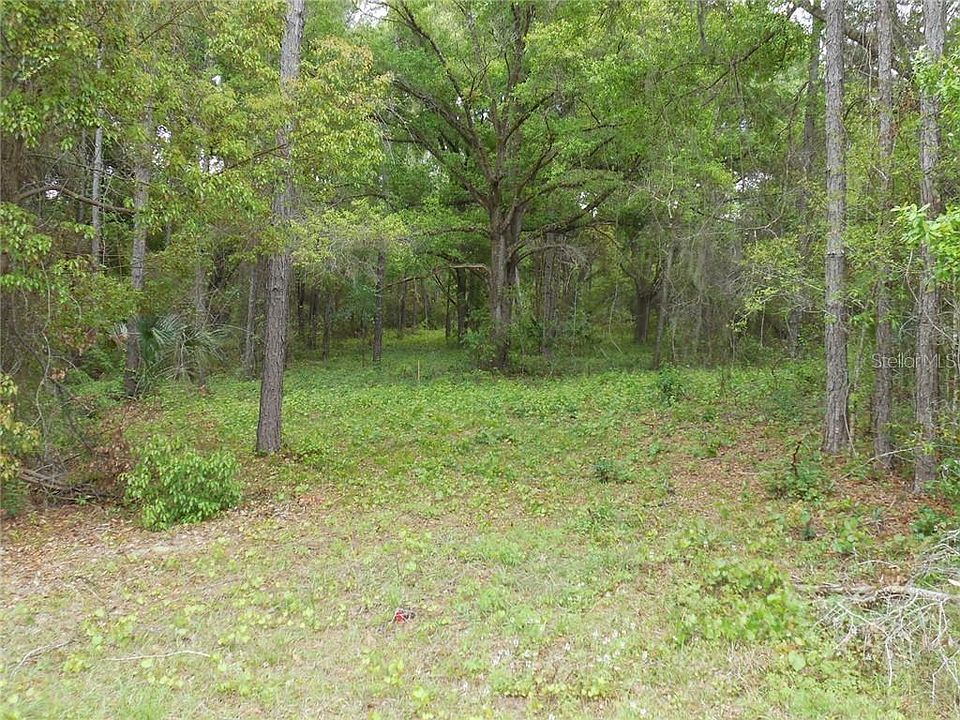7047 Norne Ln Mount Dora FL Zillow