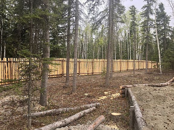 Fenced Yard