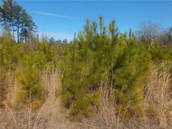 0 Spiceley Rd, Ford, VA 23850