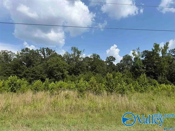Track 2 County Rd #69, Centre, AL 35960