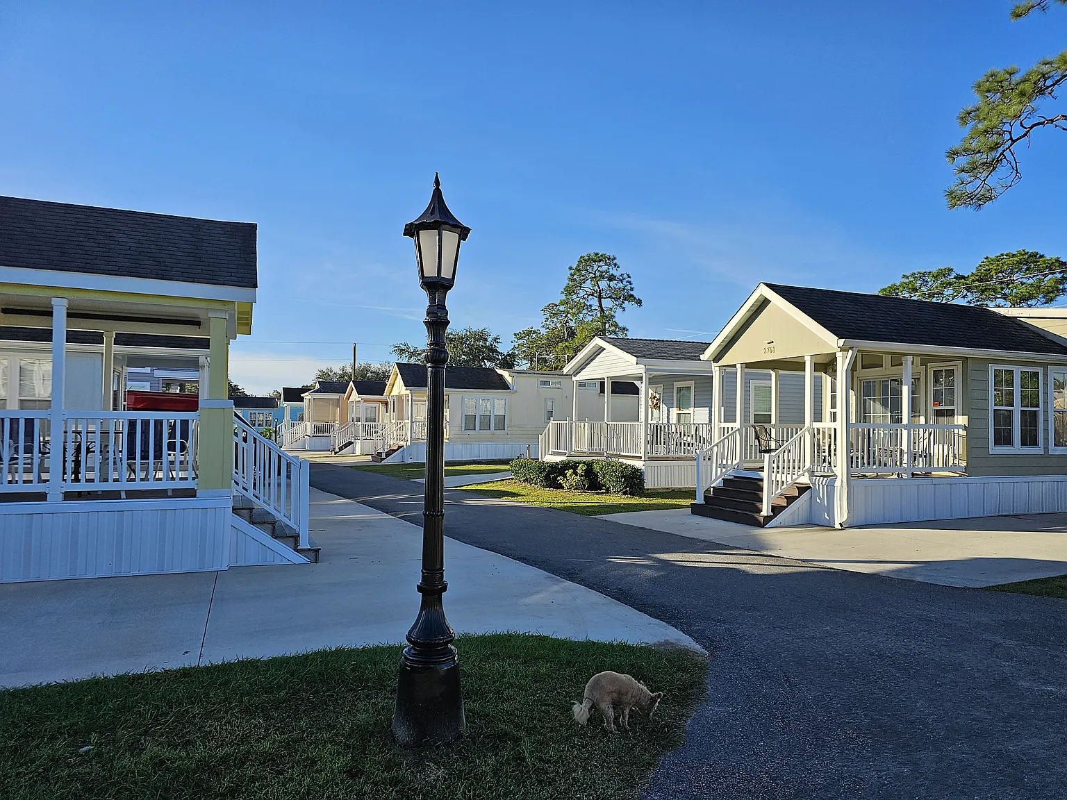 1 bed, 615 sqft, $1,950 — Photo 4