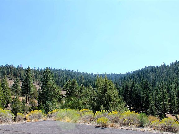 4th image of 595 Bear Paw