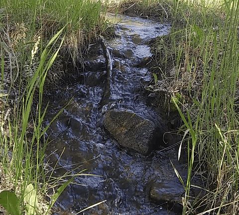 The water flows year around 
