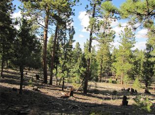 1307 Bellows Rd, Hartsel, CO 80449