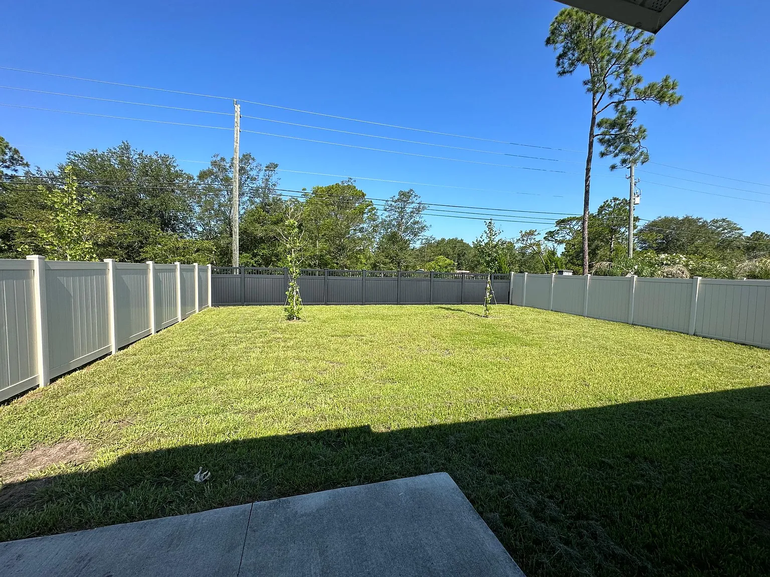 4 bed, 1490 sqft, $2,100 — Photo 2