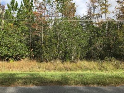 Robertson St Lot 35, Orlando, FL, 32833