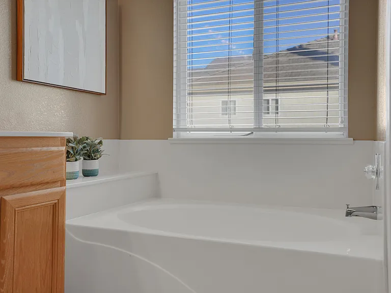 3555 Mammoth Cave Cir — Photo 33