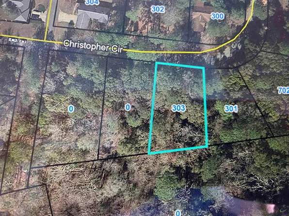 303 Christopher Cir, Montezuma, GA 31063
