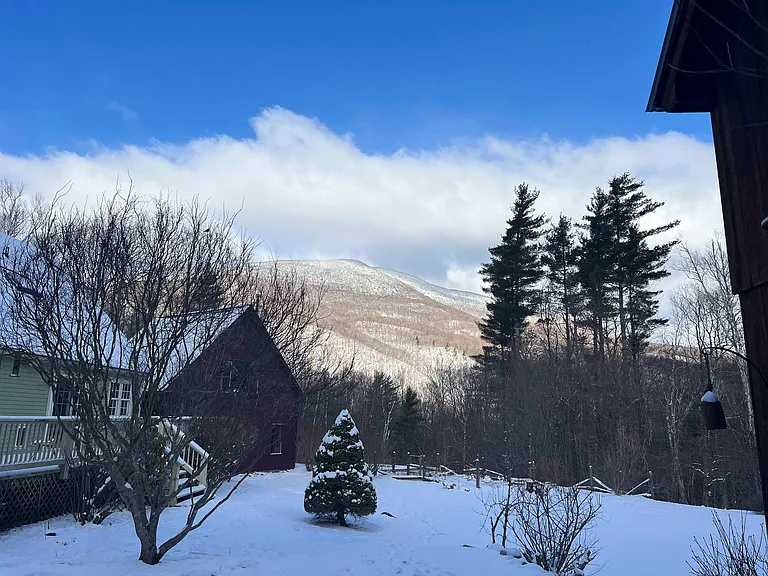 808 S End Rd — Photo 49