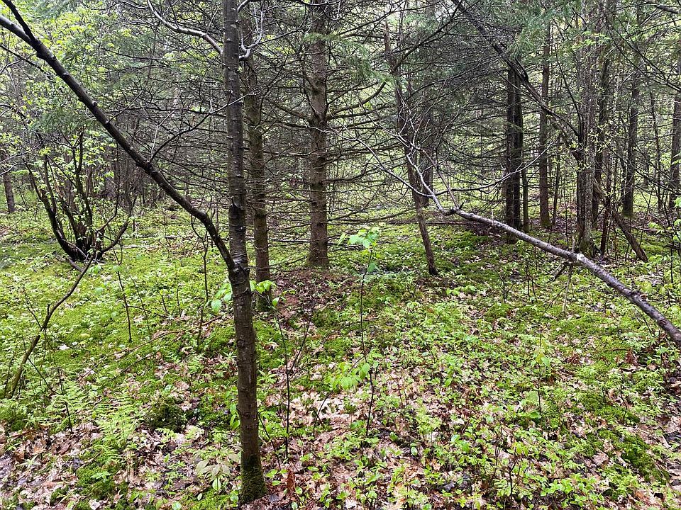 2nd image of On Wadell Rd