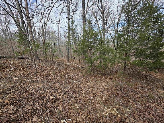 2nd image of L-42 Robinhood Ln #B
