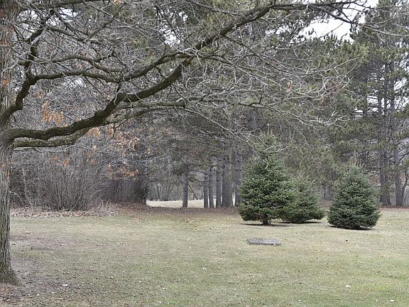 4th image of 715 Bergman Ct
