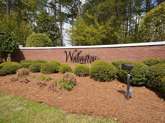 Welcome to Wellington