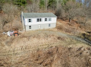 351 Monkey Run Rd, Elmira, NY 14901