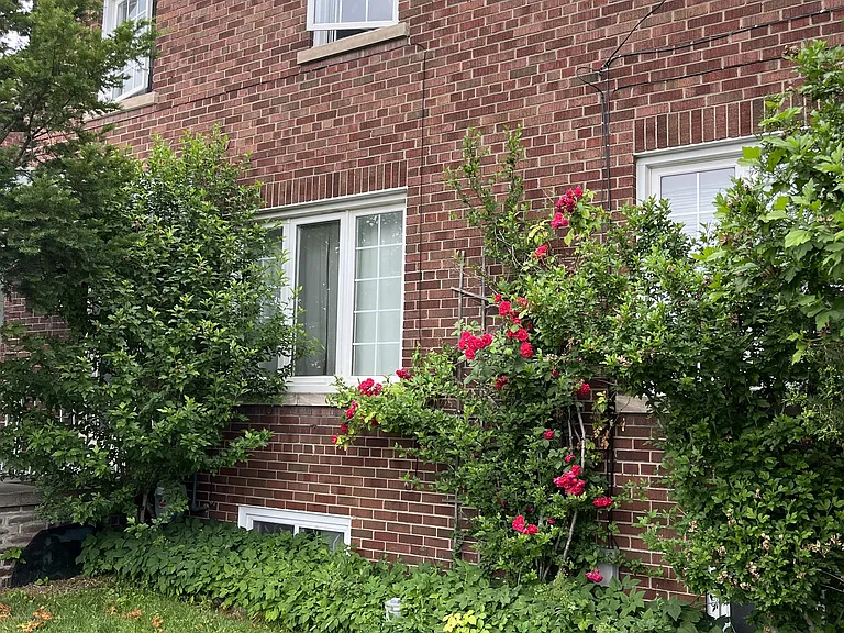 Old Weston Rd — Photo 2