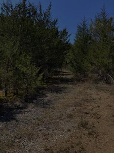 1661 Sandy Ridge Rd, Dandridge, TN, 37725