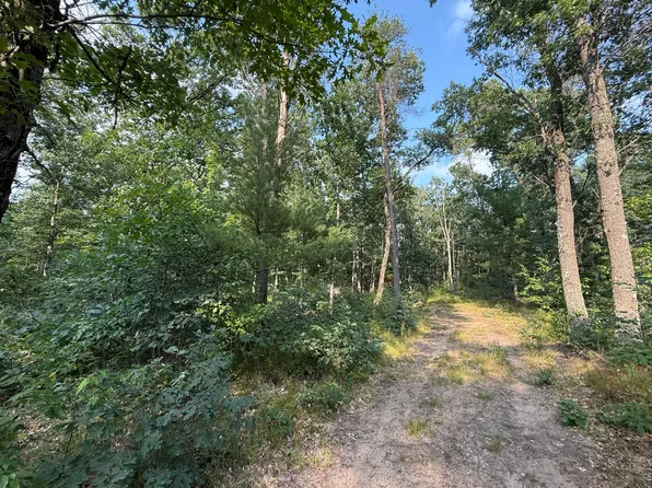 2668 W Moonflower St, Baldwin, MI 49304
