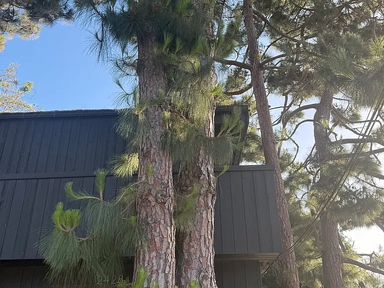 2428 Beverly Ave #A — Photo 23