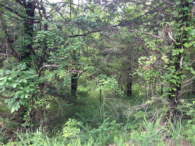 2nd image of Eagle Ridge Ln