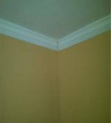 Crown Molding Throughout