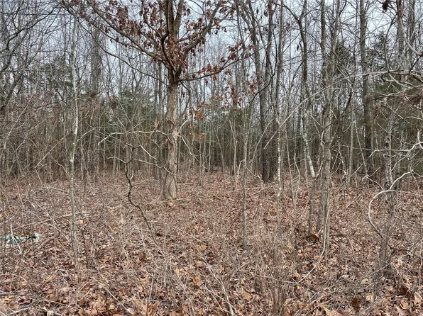 1 Highway 17, Success, MO 65570