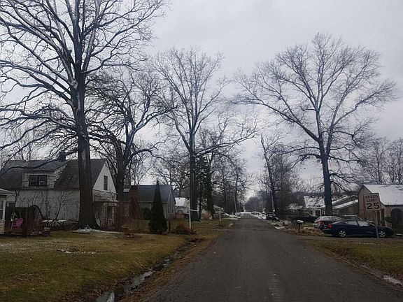 4th image of 385 Parkland Blvd