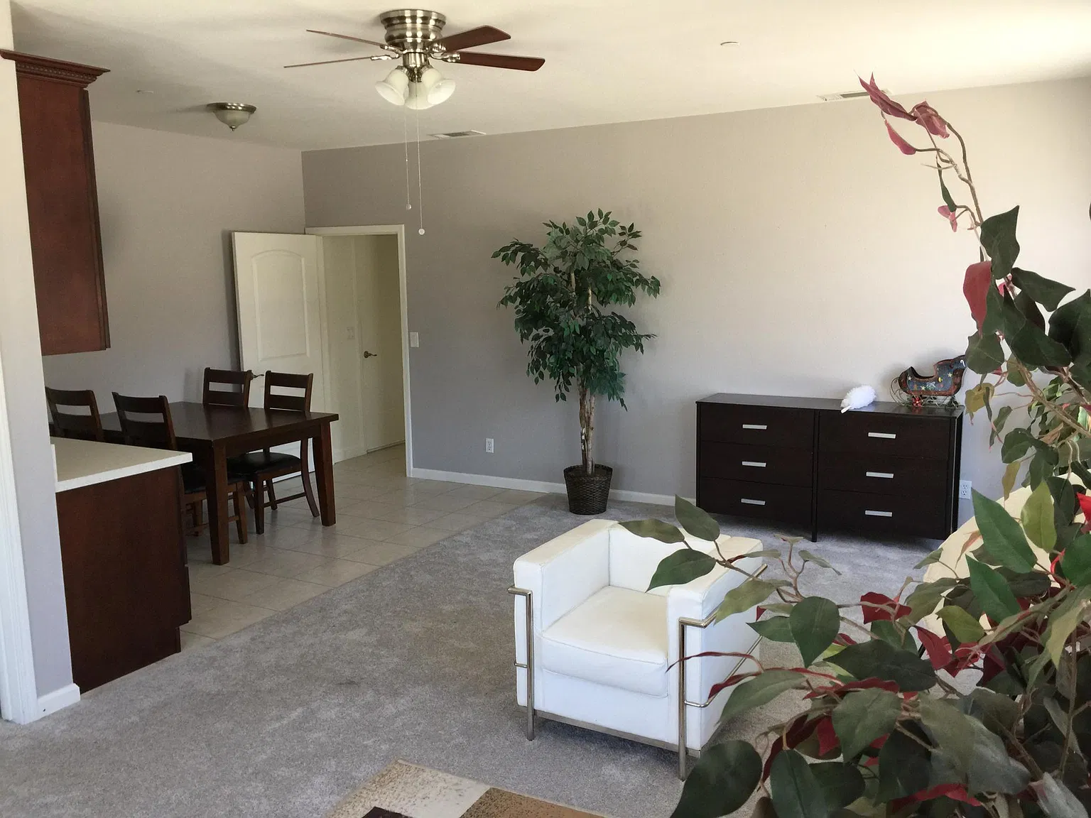 2 bed, $2,000 — Photo 1