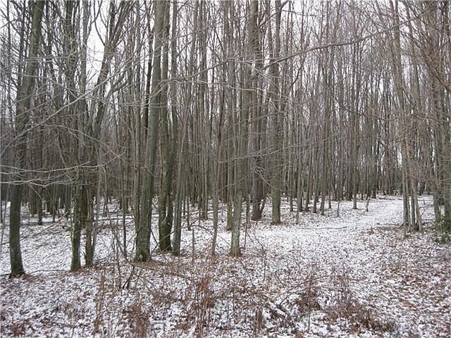 2nd image of 20 Old Plank Rd