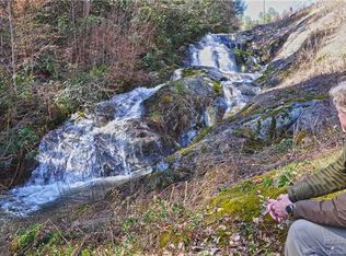 153 Gorenflo Gap Rd, Hot Springs, NC 28743