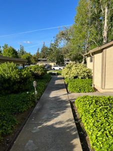 1059 N Abbott Ave, Milpitas, CA, 95035
