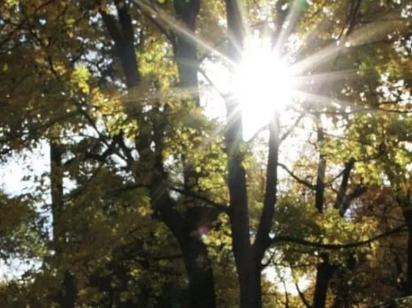 0 Reece Hollow Rd Lot 2 & 4, Carthage, TN 37030