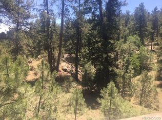 1243 Impala Trl, Bailey, CO 80421