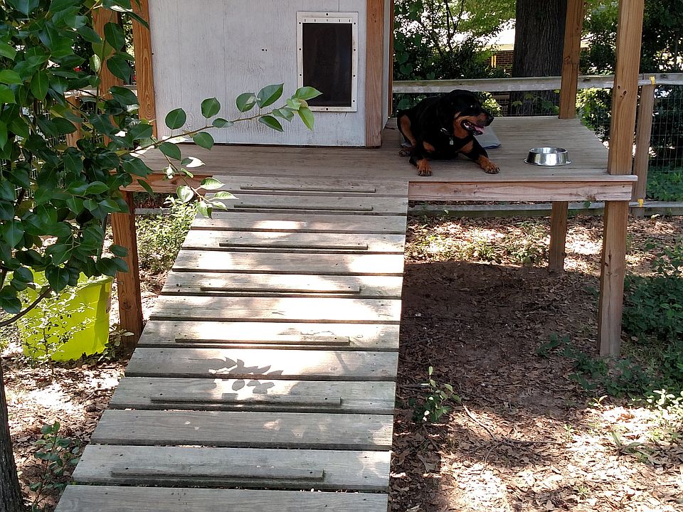 Heated dog house with fan